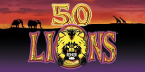 50 Lions