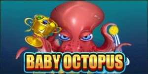 Baby Octopus