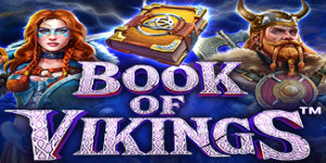 Book Of Vikings