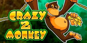 Crazy monkey 2