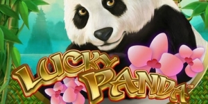 Lucky Panda