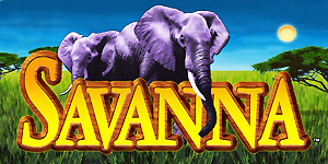 Savanna