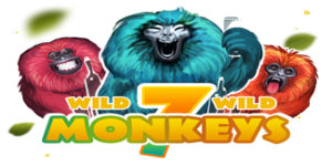 Wild 7 Wild Monkeys