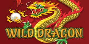 Wild Dragon