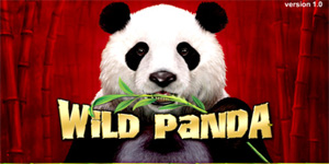 Wild Panda